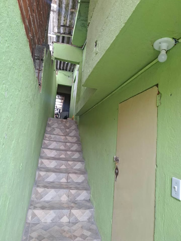 Miniatura 13