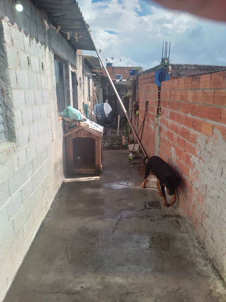 CASA A VENDA